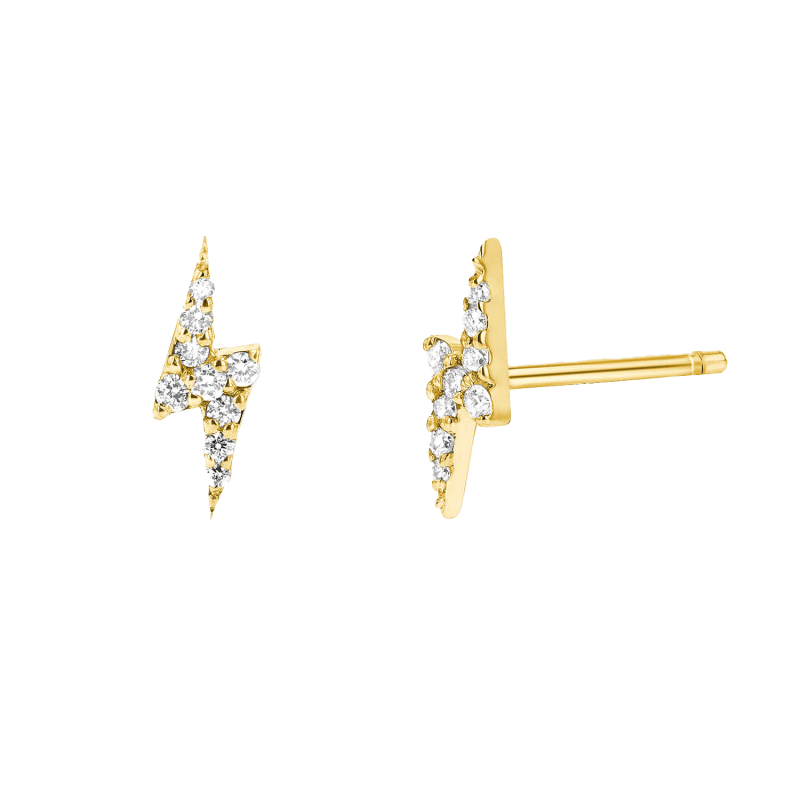 earrings01 y